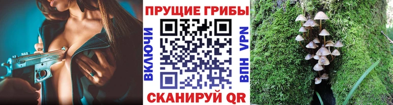 Псилоцибиновые грибы GOLDEN TEACHER  Купить где  Гороховец 